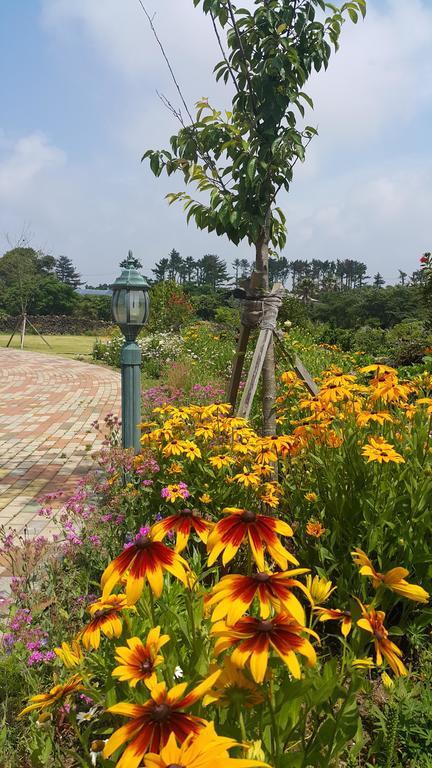Baghdad House Villa Jeju Exterior photo