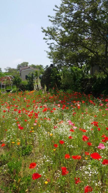 Baghdad House Villa Jeju Exterior photo