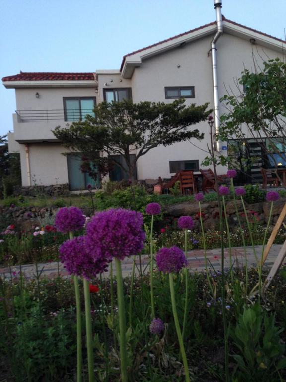 Baghdad House Villa Jeju Exterior photo