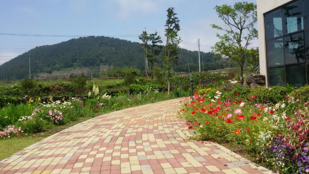 Baghdad House Villa Jeju Exterior photo