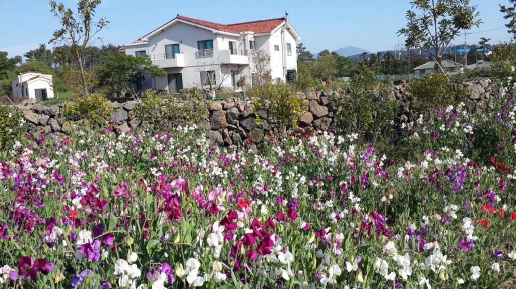 Baghdad House Villa Jeju Exterior photo