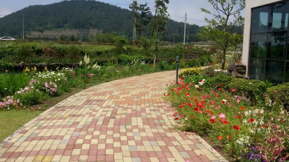 Baghdad House Villa Jeju Exterior photo