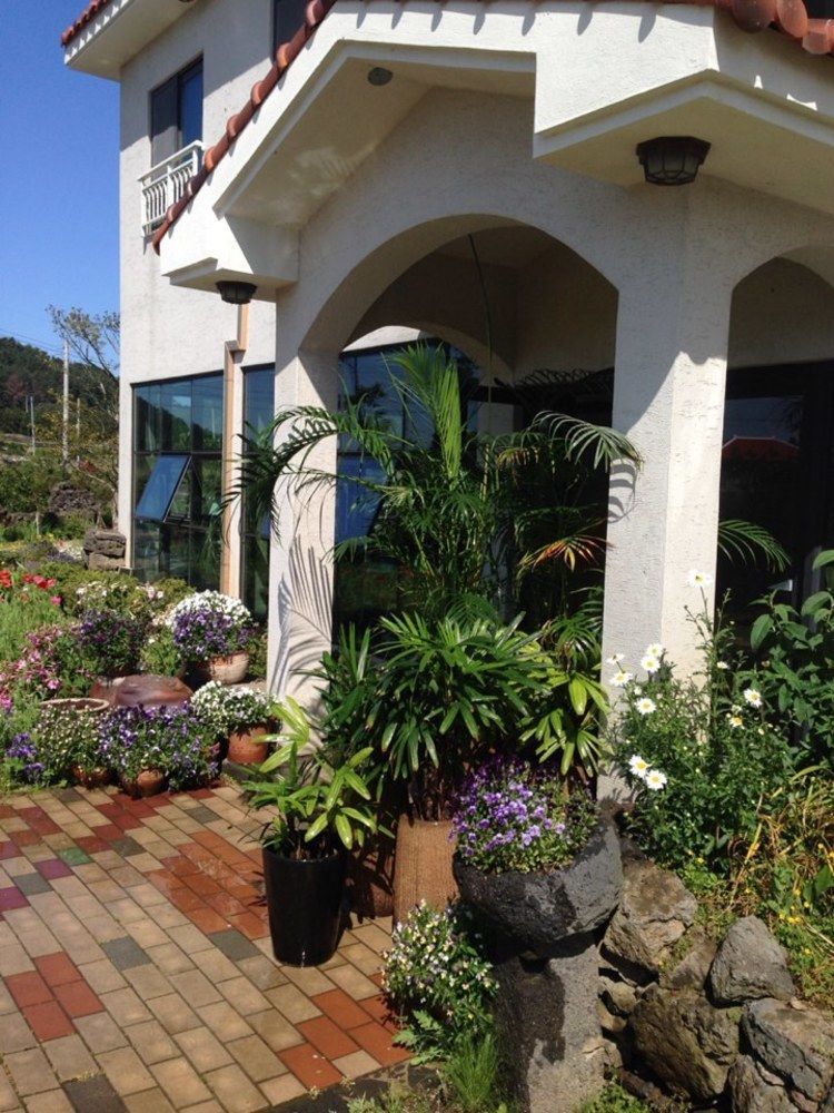 Baghdad House Villa Jeju Exterior photo